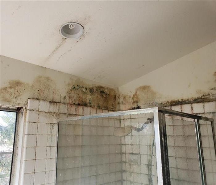 A restroom shower filled with mold and looks very dirty.